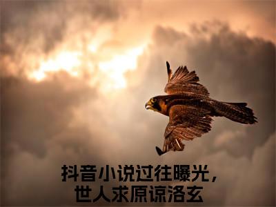 过往曝光，世人求原谅洛玄最新章节（过往曝光，世人求原谅洛玄免费阅读）-过往曝光，世人求原谅洛玄小说在线阅读完整版