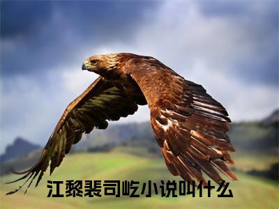 江黎裴司屹榜单小说全文免费阅读无弹窗大结局-江黎裴司屹全文在线阅读