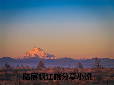 主角叫陆宸枫江槐的小说-陆宸枫江槐最新章节在线阅读