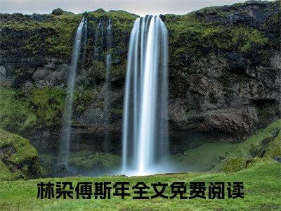娇软美人逃不掉病态大佬强制囚宠（林染傅斯年）全文免费阅读无弹窗大结局-林染傅斯年（娇软美人逃不掉病态大佬强制囚宠）小说全文免费阅读最新章节列表