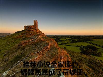 全家读心，锦鲤崽崽成了京城团宠鱼卷卷全文（全家读心，锦鲤崽崽成了京城团宠鱼卷卷免费小说-完整版-全家读心，锦鲤崽崽成了京城团宠鱼卷卷在线赏析）最新章节已更新版