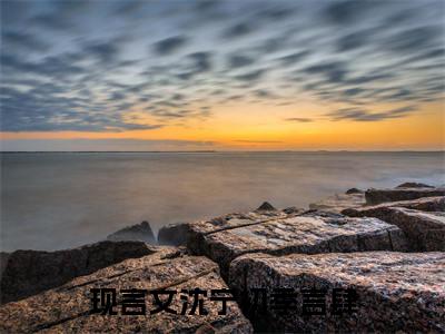 沈宁初季言肆小说后续阅读无弹窗大结局_（沈宁初季言肆阅读无弹窗）最新章节列表_笔趣阁（沈宁初季言肆）