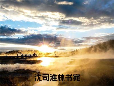 沈司淮林书宛小说（沈司淮林书宛）免费阅读全文无弹窗大结局_沈司淮林书宛免费阅读无弹窗小说_小说笔趣阁