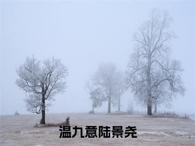 温九意陆景尧（温九意陆景尧）全文免费阅读无弹窗大结局_温九意陆景尧最新章节列表