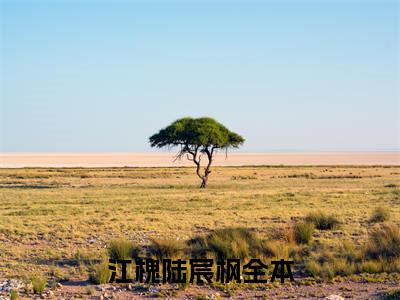 江槐陆宸枫免费小说-江槐陆宸枫完结版在线阅读