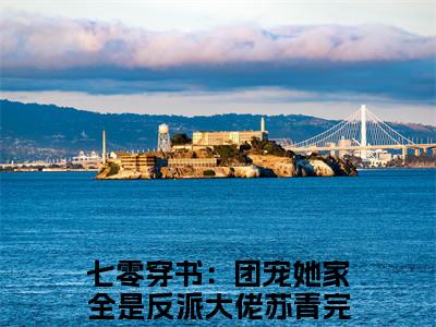 七零穿书：团宠她家全是反派大佬苏青小说（七零穿书：团宠她家全是反派大佬苏青）全文免费阅读无弹窗大结局_(七零穿书：团宠她家全是反派大佬苏青)七零穿书：团宠她家全是反派大佬苏青小说免费阅读无弹窗最新章节列表_笔趣阁（七零穿书：团宠她家全是反派大佬苏青）