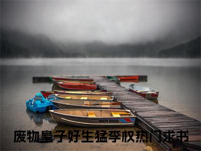 快手热推免费新书废物皇子好生猛李权小说全文完整版-废物皇子好生猛李权完整版全文在线赏析
