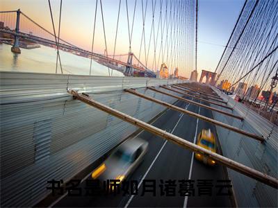 美文摘抄师如月诸葛青云-小说大结局免费阅读