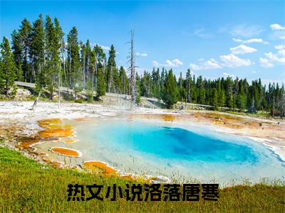 洛落唐寒全文免费阅读_（总裁他认错了金丝雀免费阅读无弹窗）洛落唐寒最新章节列表笔趣阁