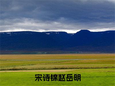 宋诗锦赵岳明（宋诗锦赵岳明）全文免费阅读无弹窗大结局_(宋诗锦赵岳明小说免费阅读)_笔趣阁