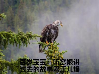 高赞小说百岁宝宝：听爹娘讲过去的故事君玉儿（百岁宝宝：听爹娘讲过去的故事君玉儿小说免费阅读）完结阅读_百岁宝宝：听爹娘讲过去的故事君玉儿全文免费阅读最新章节大结局