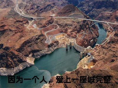 因为一个人，爱上一座城（陆宸枫江槐）全文在线阅读无弹窗大结局_陆宸枫江槐全文无弹窗最新章节列表_笔趣阁