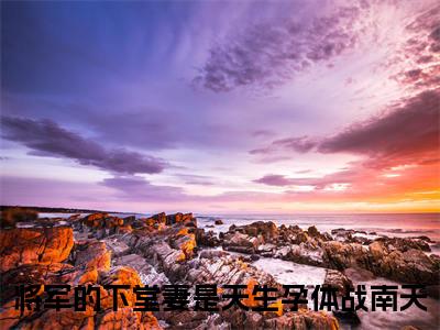 将军的下堂妻是天生孕体战南天（将军的下堂妻是天生孕体战南天全章节完整版）免费阅读-将军的下堂妻是天生孕体战南天全文无删减阅读
