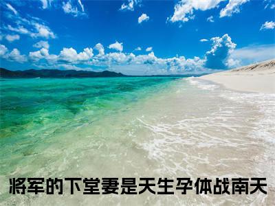 将军的下堂妻是天生孕体战南天（将军的下堂妻是天生孕体战南天）全文免费阅读无弹窗大结局将军的下堂妻是天生孕体战南天