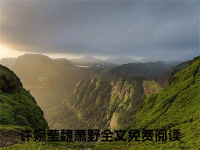 好看的小说推荐许婉莹魏萧野 许婉莹魏萧野全文试读免费大结局