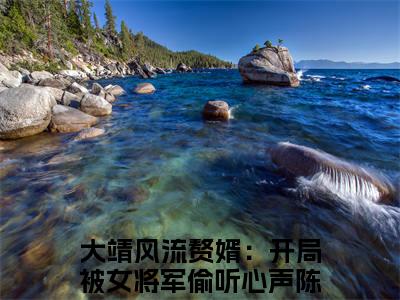 大靖风流赘婿：开局被女将军偷听心声陈稳免费阅读（大靖风流赘婿：开局被女将军偷听心声陈稳）全文免费阅读无弹窗大结局_大靖风流赘婿：开局被女将军偷听心声陈稳免费阅读最新章节列表_笔趣阁（大靖风流赘婿：开局被女将军偷听心声陈稳）