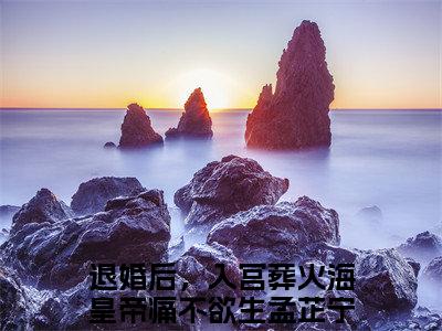 退婚后，入宫葬火海皇帝痛不欲生孟芷宁抖音新上热文分享退婚后，入宫葬火海皇帝痛不欲生孟芷宁-小说全文阅读