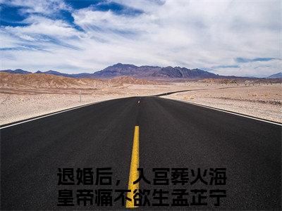 (番外)+(全文)退婚后，入宫葬火海皇帝痛不欲生孟芷宁小说免费下载阅读_(退婚后，入宫葬火海皇帝痛不欲生孟芷宁)退婚后，入宫葬火海皇帝痛不欲生孟芷宁最新章节列表_笔趣阁（退婚后，入宫葬火海皇帝痛不欲生孟芷宁）