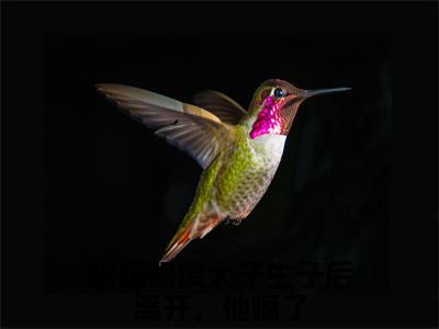 免费+全集陈淮肃宋晚茵全文免费阅读无弹窗大结局_（陈淮肃宋晚茵小说）哄瞎眼废太子生子后离开，他疯了在线免费阅读