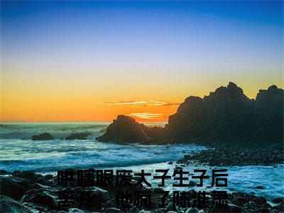 陈淮肃宋晚茵（哄瞎眼废太子生子后离开，他疯了）全文无弹窗大结局_陈淮肃宋晚茵小说最新章节列表
