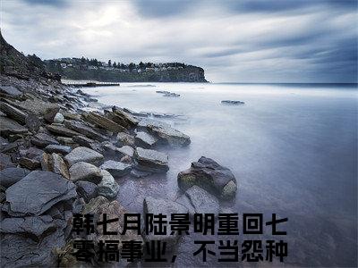 韩七月陆景明小说在线阅读全文无弹窗_重回七零搞事业，不当怨种当团宠小说最新全文完整无删减版