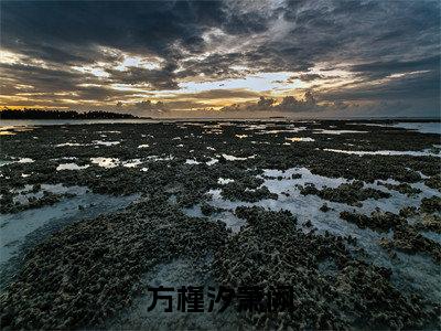 方槿汐萧阙（方槿汐萧阙）全文免费阅读无弹窗大结局_方槿汐萧阙最新章节列表_笔趣阁（方槿汐萧阙）