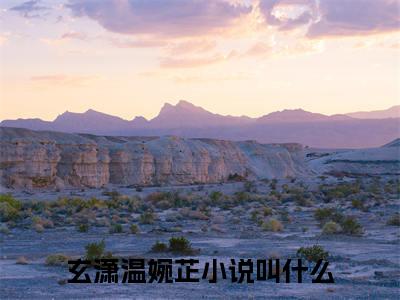 玄潇温婉芷的小说全文免费阅读无弹窗大结局-《玄潇温婉芷》完整章节阅读