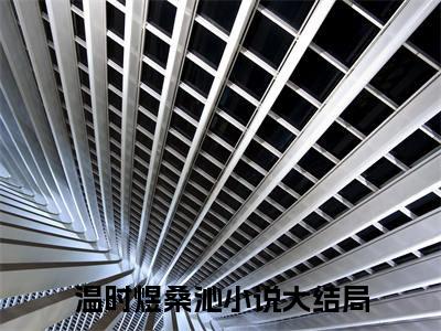 温时煜桑沁全文免费阅读无弹窗大结局_温时煜桑沁最新章节列表_笔趣阁(温时煜桑沁）
