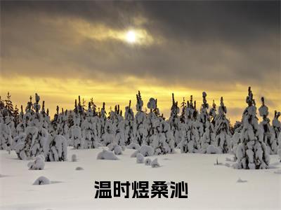 温时煜桑沁全文免费阅读无弹窗大结局-温时煜桑沁最新章节免费阅读