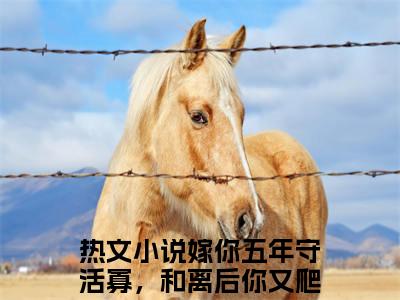 时婳裴宴礼免费阅读无弹窗大结局-嫁你五年守活寡，和离后你又爬床了（最新全章节大结局）全文阅读