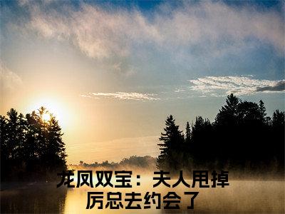 苏夏厉冷澈（龙凤双宝：夫人甩掉厉总去约会了）免费阅读完整版-（苏夏厉冷澈小说）龙凤双宝：夫人甩掉厉总去约会了全文大结局已完结