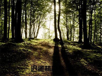 迟渊林柚（迟渊林柚全文）全文免费阅读无弹窗大结局_迟渊林柚全文免费阅读_笔趣阁（迟渊林柚全文）