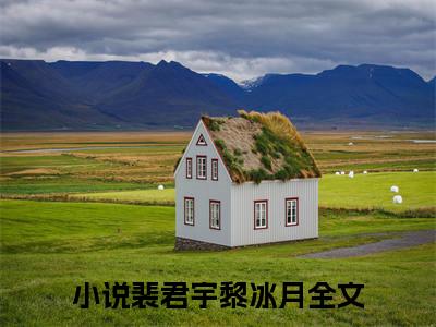 裴君宇黎冰月小说(裴君宇黎冰月)全文免费阅读无弹窗大结局_裴君宇黎冰月小说免费阅读无弹窗最新章节列表_笔趣阁