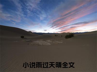 雨过天晴小说宁心宋州最新更新—宁心宋州小说美文赏析