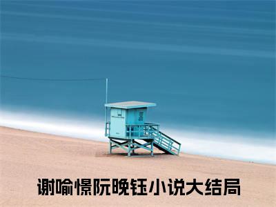 谢喻憬阮晚钰大结局免费阅读 谢喻憬阮晚钰全文小说