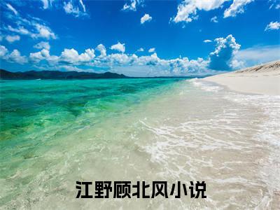 江野顾北风阅读无弹窗大结局_（江野顾北风阅读无弹窗）最新章节列表_笔趣阁（江野顾北风）