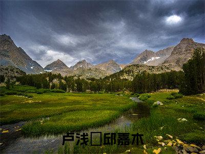 卢浅婼邱嘉木小说（卢浅婼邱嘉木）免费阅读全文无弹窗大结局_卢浅婼邱嘉木免费阅读无弹窗小说_小说笔趣阁
