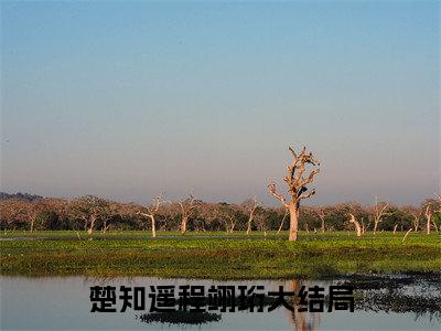 楚知遥程翊珩（楚知遥程翊珩）小说全文免费阅读正版无弹窗_(楚知遥程翊珩)最新章节列表