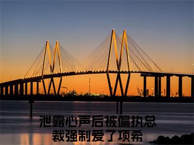 泄露心声后被偏执总裁强制爱了项希（泄露心声后被偏执总裁强制爱了项希）全文免费阅读无弹窗大结局_（泄露心声后被偏执总裁强制爱了项希）最新章节列表笔趣阁