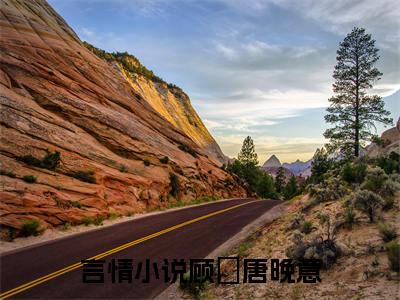 顾燚唐晚意（顾燚唐晚意）全集免费阅读无弹窗_顾燚唐晚意正版小说免费阅读