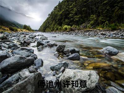 傅池州许知意新上热文小说（傅池州许知意）讲的是什么-傅池州许知意全文完整版免费阅读