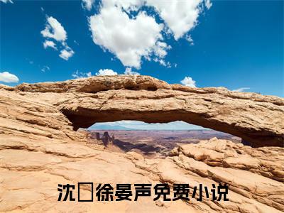 沈婳徐晏声小说全文免费阅读无弹窗大结局_（沈婳徐晏声免费阅读无弹窗）最新章节列表_笔趣阁