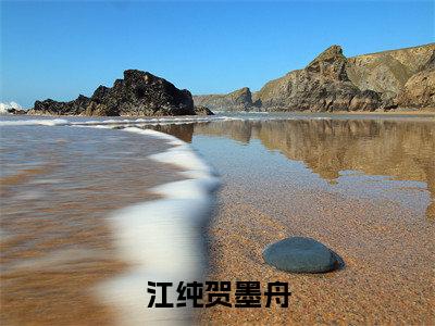 贺少追妻莫回头小说（江纯贺墨舟）全文免费阅读无弹窗大结局_（贺少追妻莫回头）小说章节列表（江纯贺墨舟）