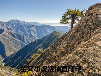 沈清宜陆砚免费小说 沈清宜陆砚全文阅读目录