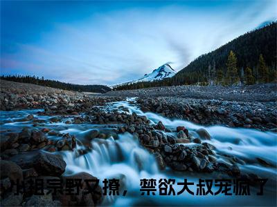 （江黎舟迟琛）是什么小说-（小祖宗野又撩，禁欲大叔宠疯了）无弹窗免费阅读大结局最新章节列表_笔趣阁
