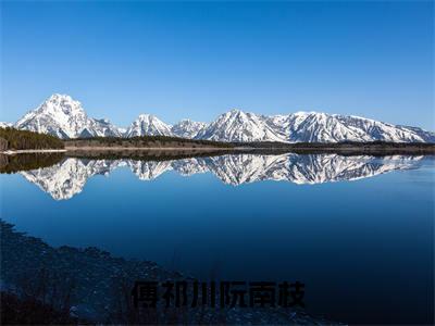 傅祁川阮南枝全文免费阅读无弹窗大结局_傅祁川阮南枝最新章节列表笔趣阁