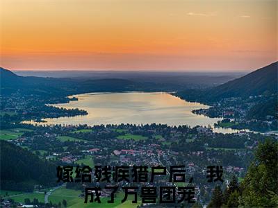 嫁给残疾猎户后，我成了万兽团宠全文免费阅读大结局-叶雨福安结局免费阅读