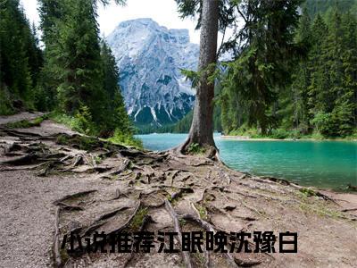 江眠晚沈豫白全文免费阅读无弹窗-江眠晚沈豫白最新章节列表在线阅读
