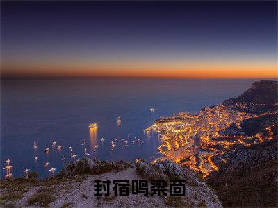 封宿鸣梁茴精选热门小说-封宿鸣梁茴免费全文阅读