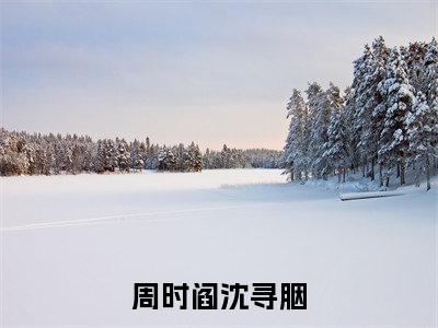 周时阎沈寻胭（乖张尤物）全文免费阅读_周时阎沈寻胭小说最新章节列表笔趣阁